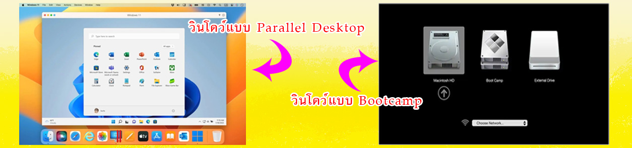 รับลง parallel, bootcamp.jpg